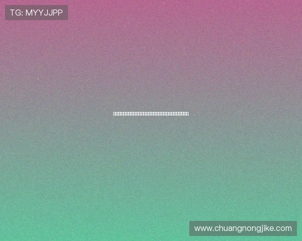 以来球网直播打造沉浸式体育赛事互动观赛新体验平台生态升级全面