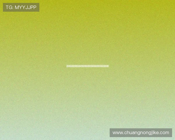 免费观看高清直播在线畅享热门赛事影视娱乐盛宴实时更新多平台