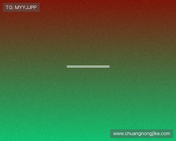 雷速体育足球篮球直播平台官网打造实时赛事数据与高清观赛体验